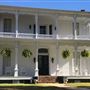 Primrose House