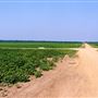 Crossroads