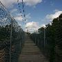 Water Treatment Plant-Pearl River