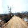 Road in Swamp