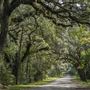 Logtown - Cemetary, Boat Launch, Pearl River, Possum Walk, Bridge, Road