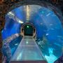 Mississippi Aquarium