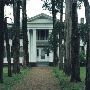 Rowan Oak (1848)