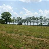 J Foy Farm