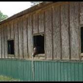 Brandywine