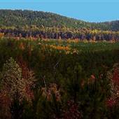 Hills
