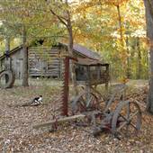 rustic barn