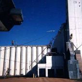 Cooperative Elevator