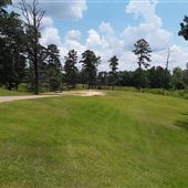Piney Wood School - Outdoor community spaces