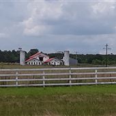 Piney Woods School - Ranch