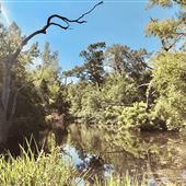 Red Fish Lane Bayou
