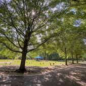Tupelo Memorial Park - Cemetary