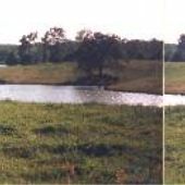 Lake off Cox Ferry Road