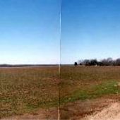 Delta Landscape