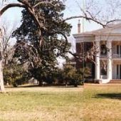 Melrose Plantation