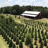 Thomley’s Farm