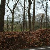 Rural Road