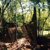 Springdale Hills Arboretum