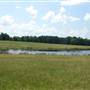 Chandler Farm 2