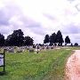 Campbelltown Cemetery