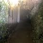 Tunnels at Sideshow Props 2.0 LLC