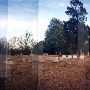 Montgomery Cemetery