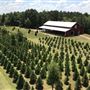 Thomley’s Farm
