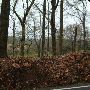 Rural Road