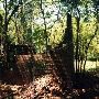 Springdale Hills Arboretum