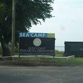 USM Gulf Coast Campus Marshes