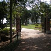 Sedgewood Plantation