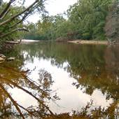 Black Creek