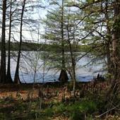 Lake Bolivar