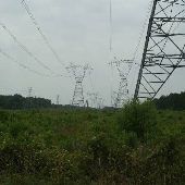 Power Lines - W. County Line Rd.