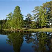 Simpson County Lake