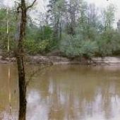 Pearl River, Columbia