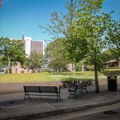 Smith Park