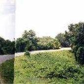 Waterford Kudzu