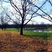 Smith's Pecan Grove