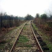 Delta Train Tracks