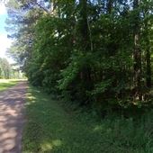 Spillway - Walking Path