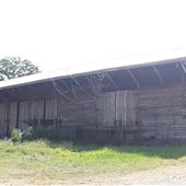 Wood plank warehouse