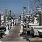 Biloxi Small Craft Harbor - Charter Boats