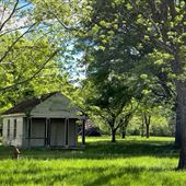 Florewood Plantation - Current