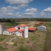 Piney Woods School - Farm