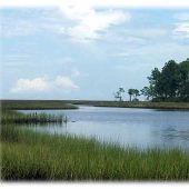 Grand Bay Estuary