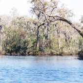 McCoy's River & Marsh Tours