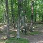 Old Natchez Trace