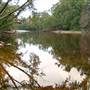 Black Creek