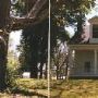 P-Line House